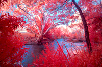 Little River IR Chrome