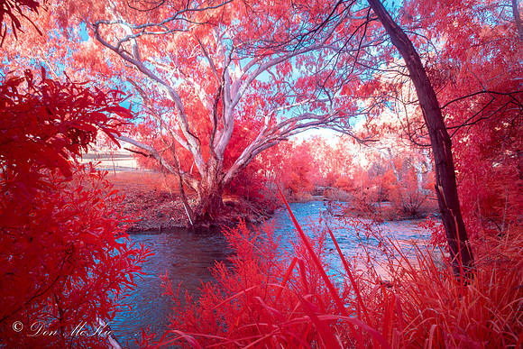 Little River IR Chrome