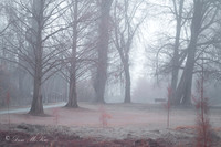 River Walk IR Chrome