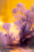 The Mistical Pathway (2)