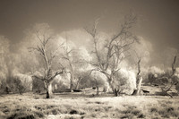 Port Phillip Mist IR