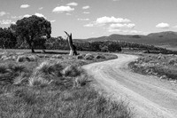 Dam Track B&W