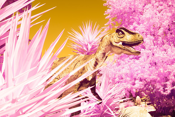 Dino Colour IR 1