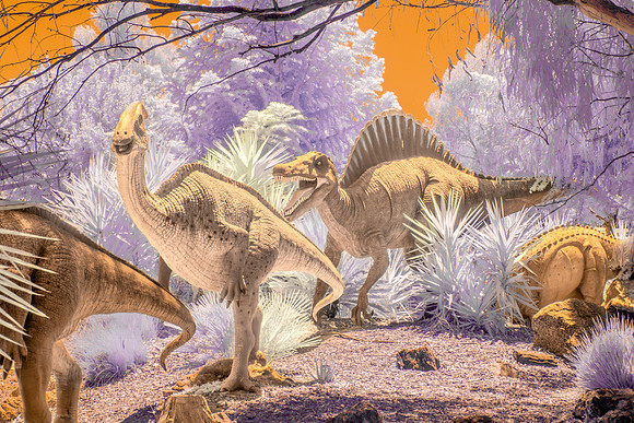 Dino Colour IR 2