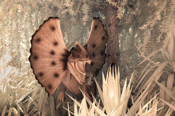 Dino Colour IR 3