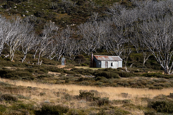 Whites River Hut