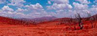 Infrared Photography