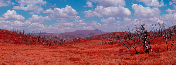 Mt Jagungal Pano - IR Chrome