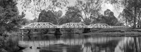 Black & White Photography