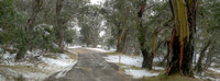 Long Plain Rd - Pano 2