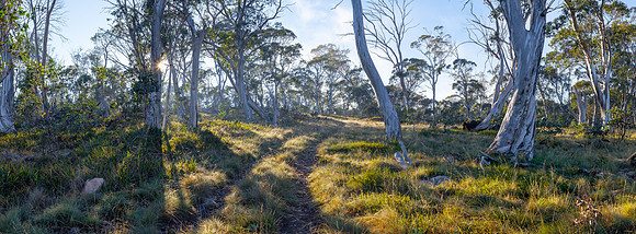 Mt Jackson - Panorama