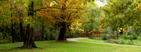 Autumn 21 - Pioneer Park 4.5.2026