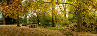 Autumn 10 - Stockwell Park Panorama 2.5.2026