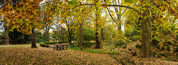 Autumn 10 - Stockwell Park Panorama 2.5.2026