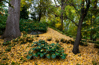 Autumn 8 - Stockwell Park 2.5.2026
