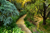 Autumn 15 - Stockwell Park