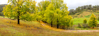 Walls Creek Panorama