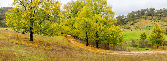 Walls Creek Panorama