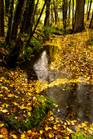 Walls Creek 9