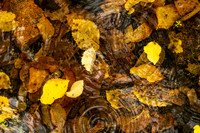 Walls Creek 16