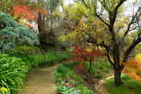 Autumn 42 29.5.2026