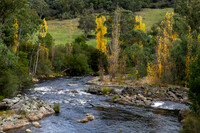 Autumn 34 - 5.5.2026