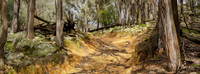 Beautiful Light  Pano 25.8.2026