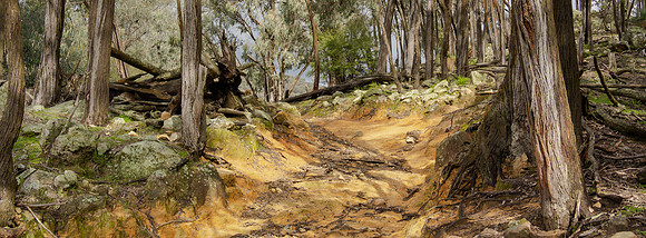 Beautiful Light  Pano 25.8.2026