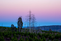 Belt Of Venus  24.9.2026