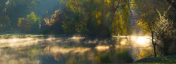 Sunrise At The Duck Pond