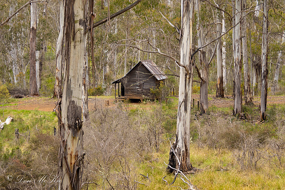 Buddong Hut 3