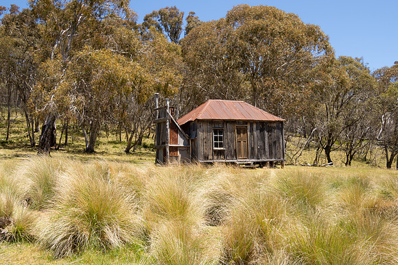 Witzes Hut