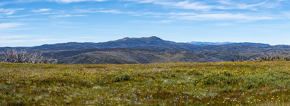 Mt Jagungal from 15 Mile Ridge