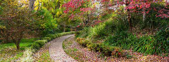 Autumn In Stockwell Gardens