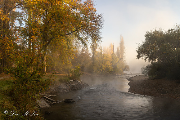 Foggy Autumn Morning