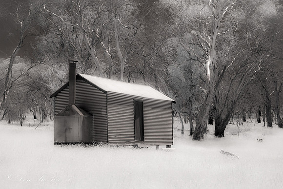 Scholfields Hut Mistical
