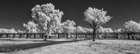Old Rail Bridge IR (4) - Gundagai