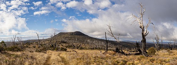 Table Top Mountain