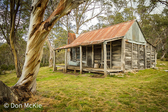 Wheeler's Hut - Koscuiszko National Park