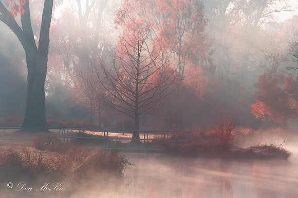 Foggy Start At Pond Duck Pond IR Chrome