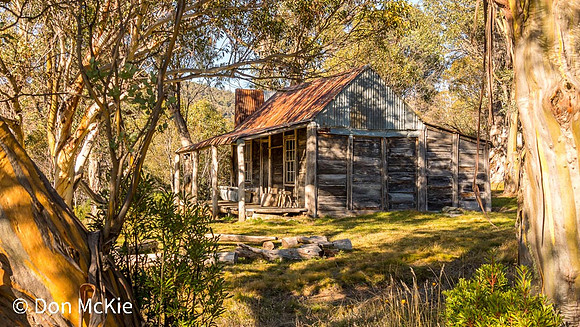 Wheelers Hut - Koscuiszko National Park