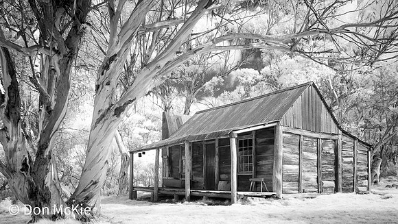 Wheeler's Hut - Koscuiszko National Park