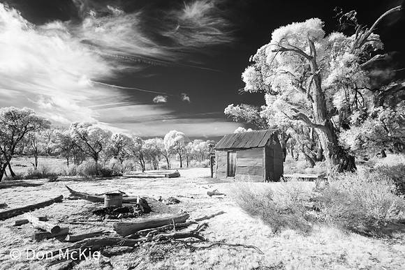 Millers Hut - Koscuiszko National Park