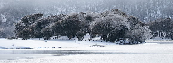 Snow At Three Mile Dam