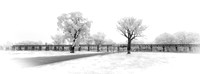 Old Rail Bridge Gundagai Vintage (1) IR